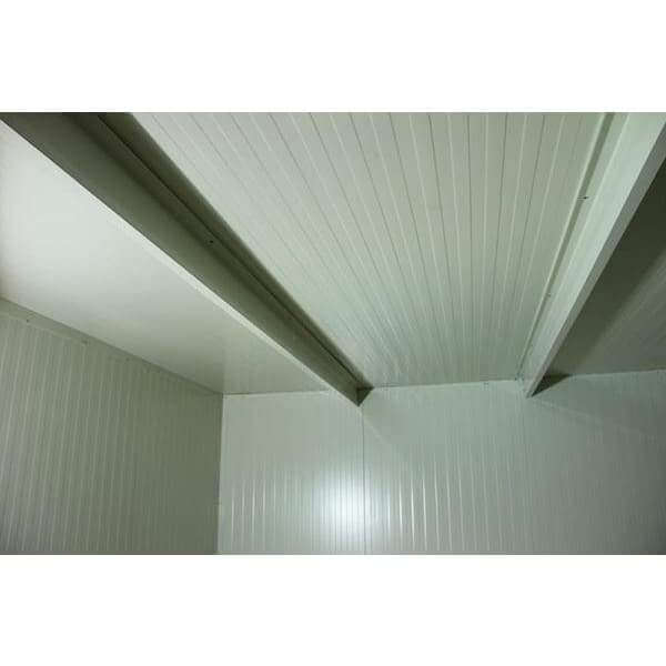 Duramax 19x10 Flat Roof Insulated Building 30862 interior ceiling view